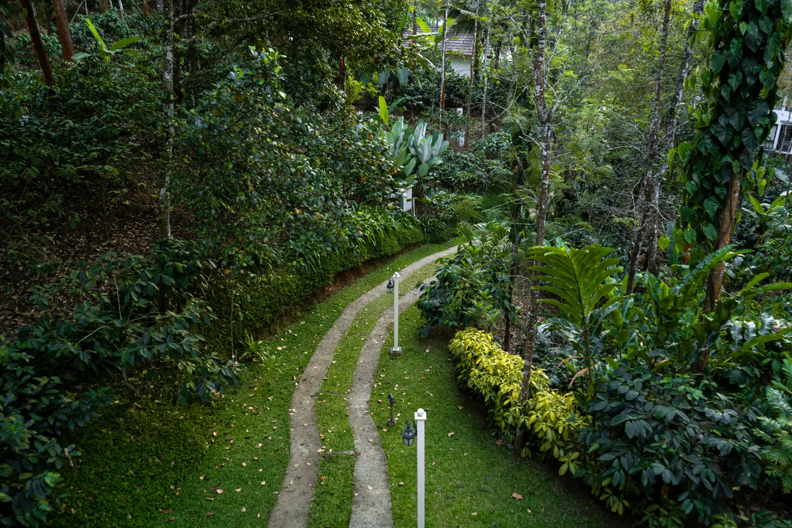 Winding garden pathway surrounded by lush greenery at Willow Resort