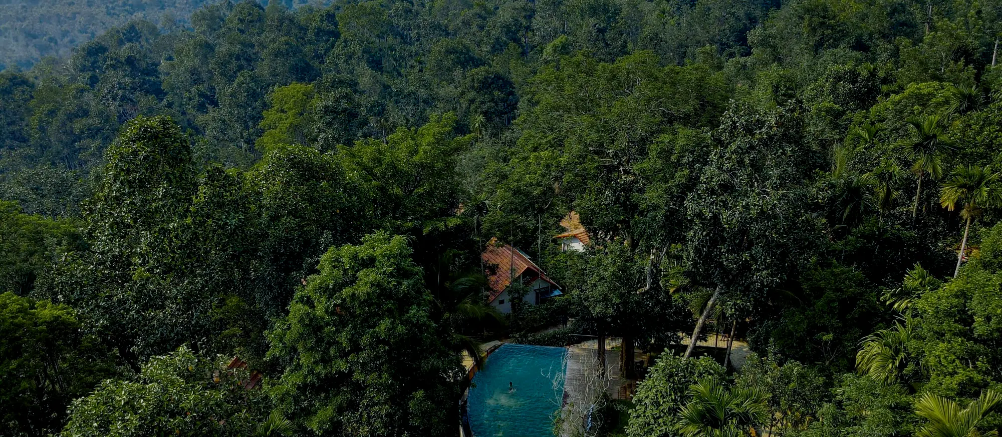 Willow Resort surrounded by forest