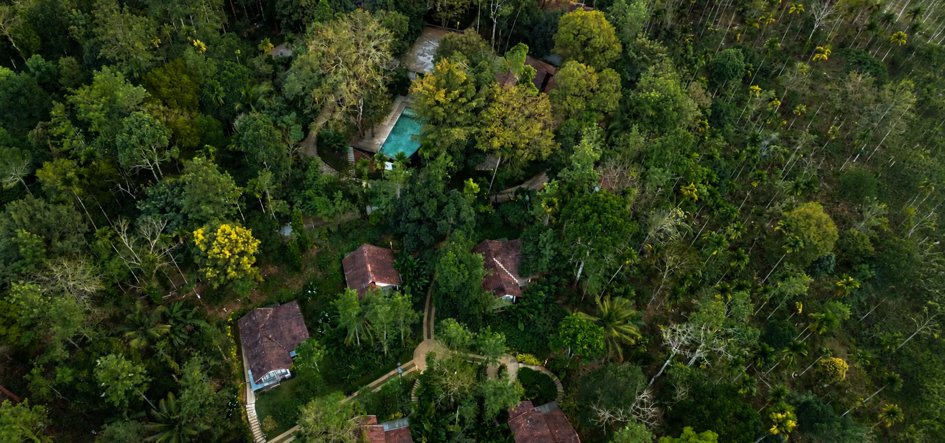 Aerial view of Willow Resort surrounded by forest