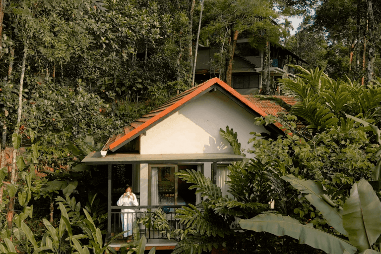 Escape to Tranquility – Discover the Hidden Charm of Willow Resorts, Wayanad