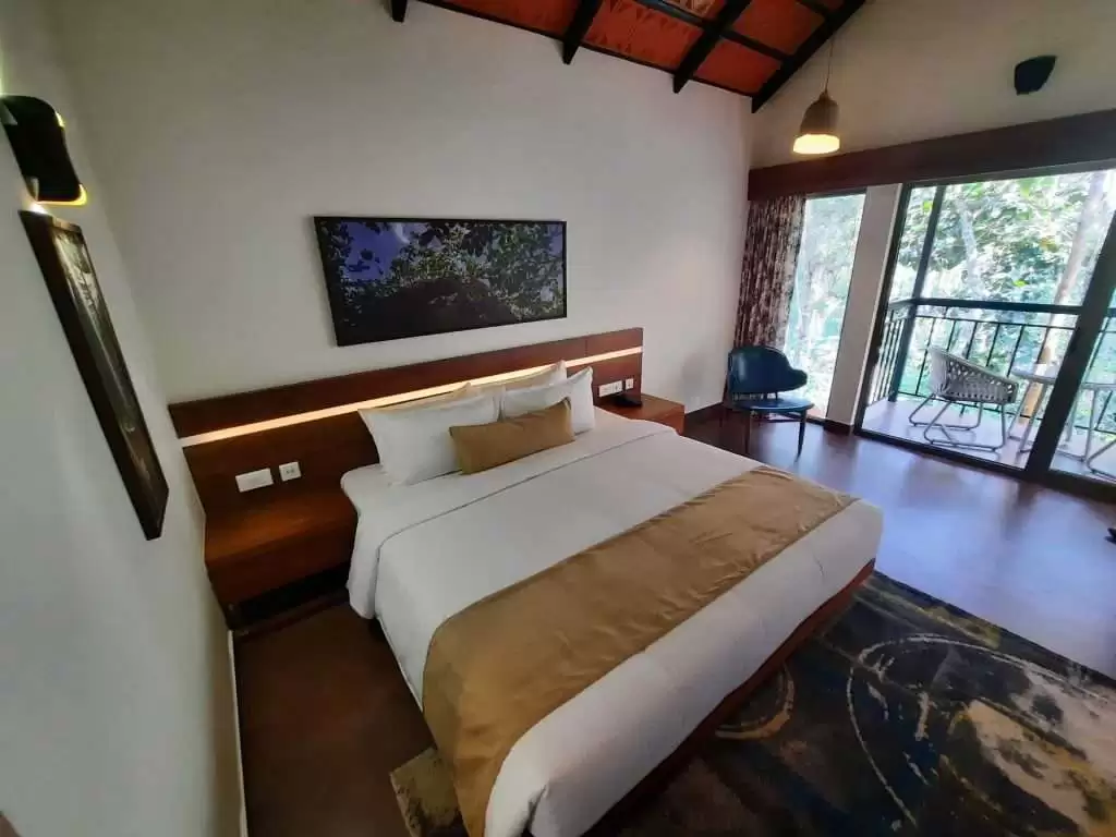 Redefining Serenity: Why Willow Stands Out Among the Top Resorts in Wayanad