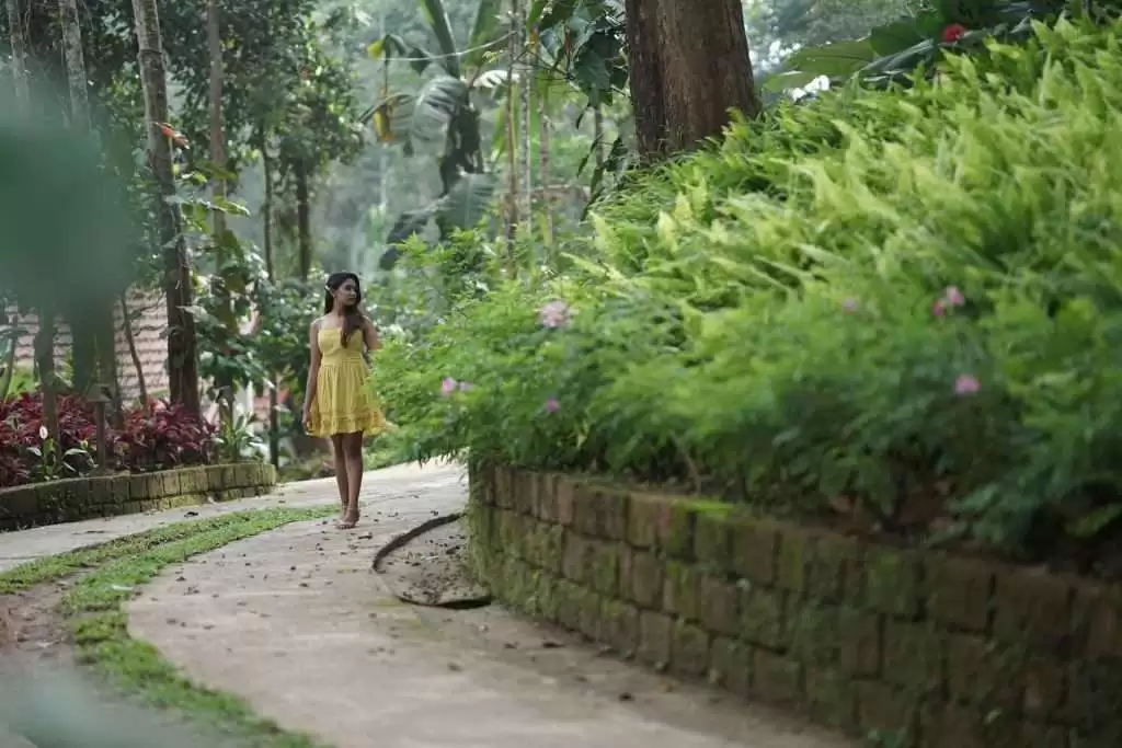 Willow Resorts – Where Nature Becomes Your Travel Companion