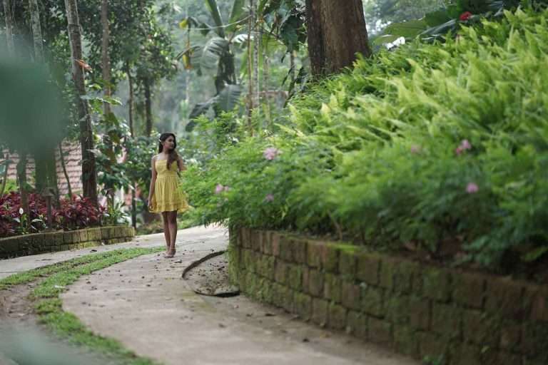 Willow Resorts – Where Nature Becomes Your Travel Companion