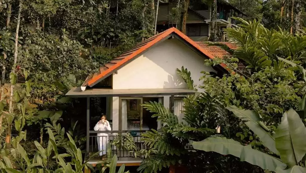 Experience Seasonal Bliss at Willow Resorts – One of the Best Luxury Resorts in Wayanad