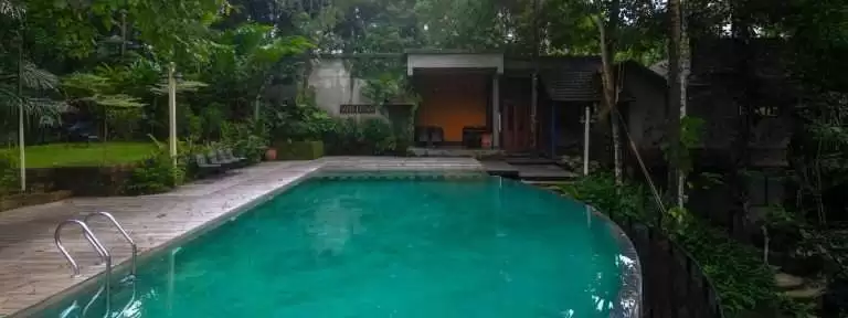 Resorts in Wayanad with Swimming Pool: A Peaceful Stay at Willow Resorts