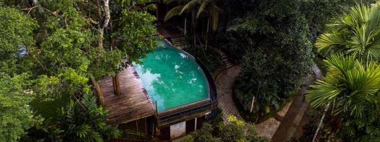 Top Resorts in Wayanad: Discover Calm and Comfort at Willow Resorts