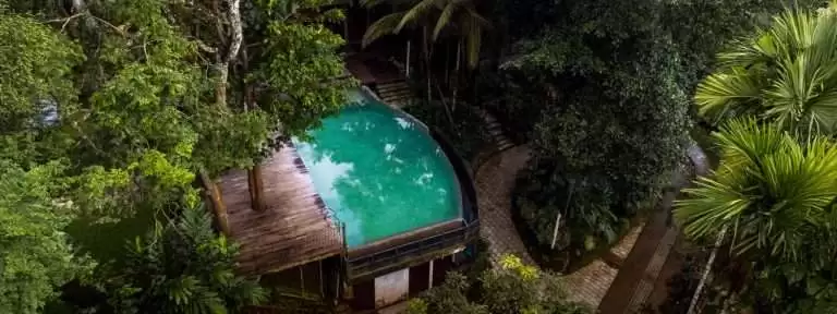 Top Resorts in Wayanad: Discover Calm and Comfort at Willow Resorts