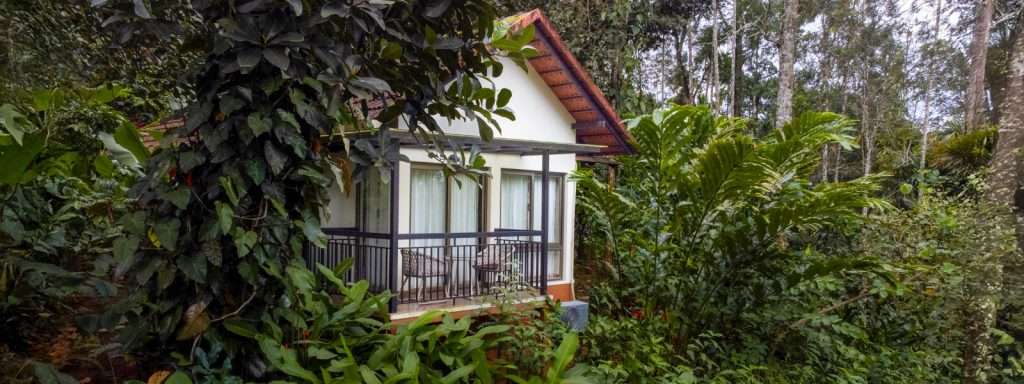 Wayanad Resorts for Family Holidays: Stay at Willow Resorts