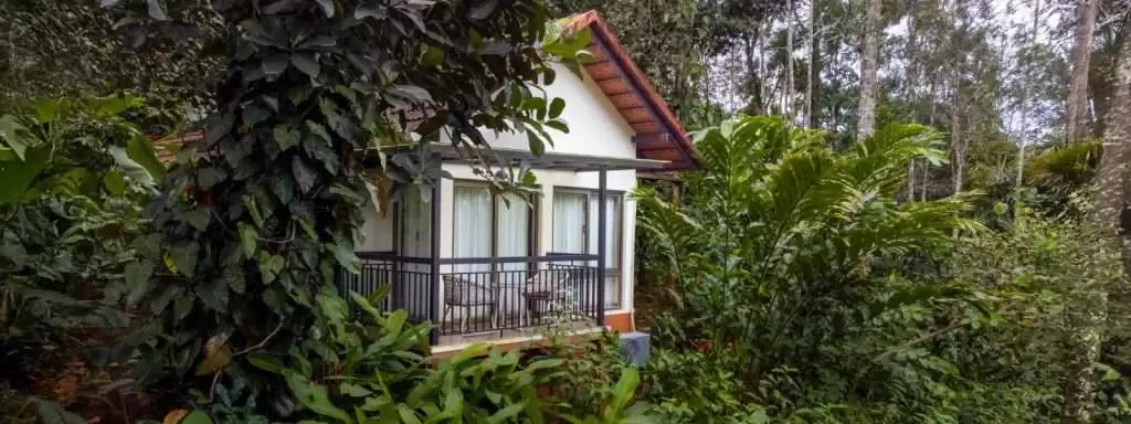Wayanad Resorts for Family Holidays: Stay at Willow Resorts