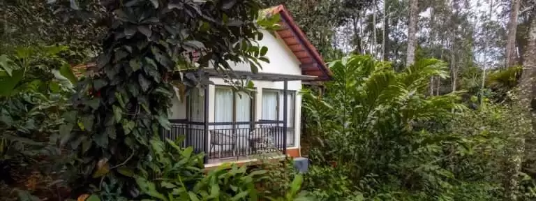 Wayanad Resorts for Family Holidays: Stay at Willow Resorts