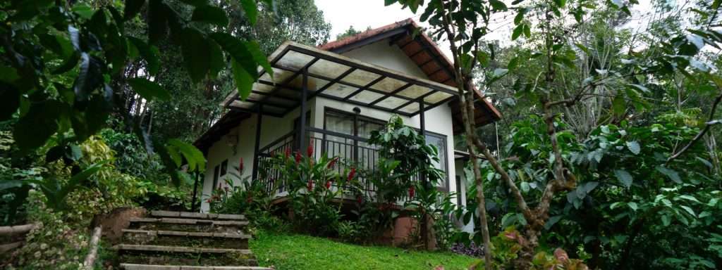 Best Resorts in Wayanad: Discover Serenity at Willow Resort