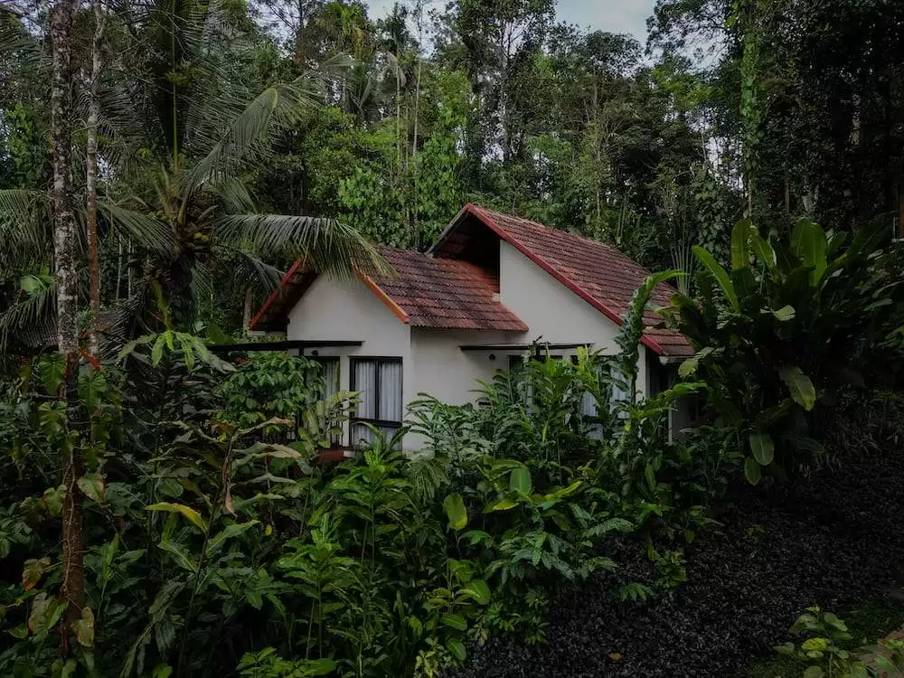 Best Luxury Resorts in Wayanad