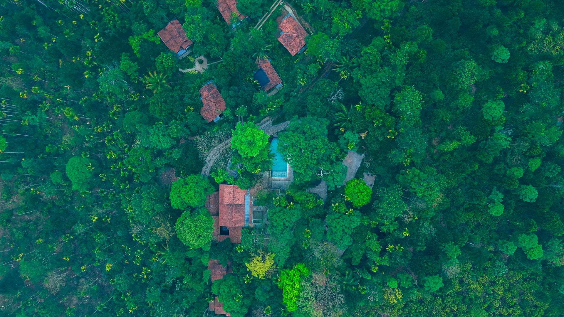 Willow Resorts Banner