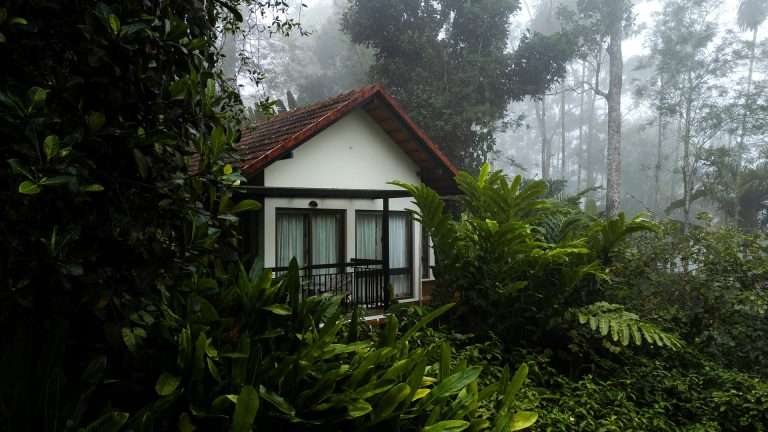 Best Resorts in Wayanad: Discover Serenity at Willow Resort