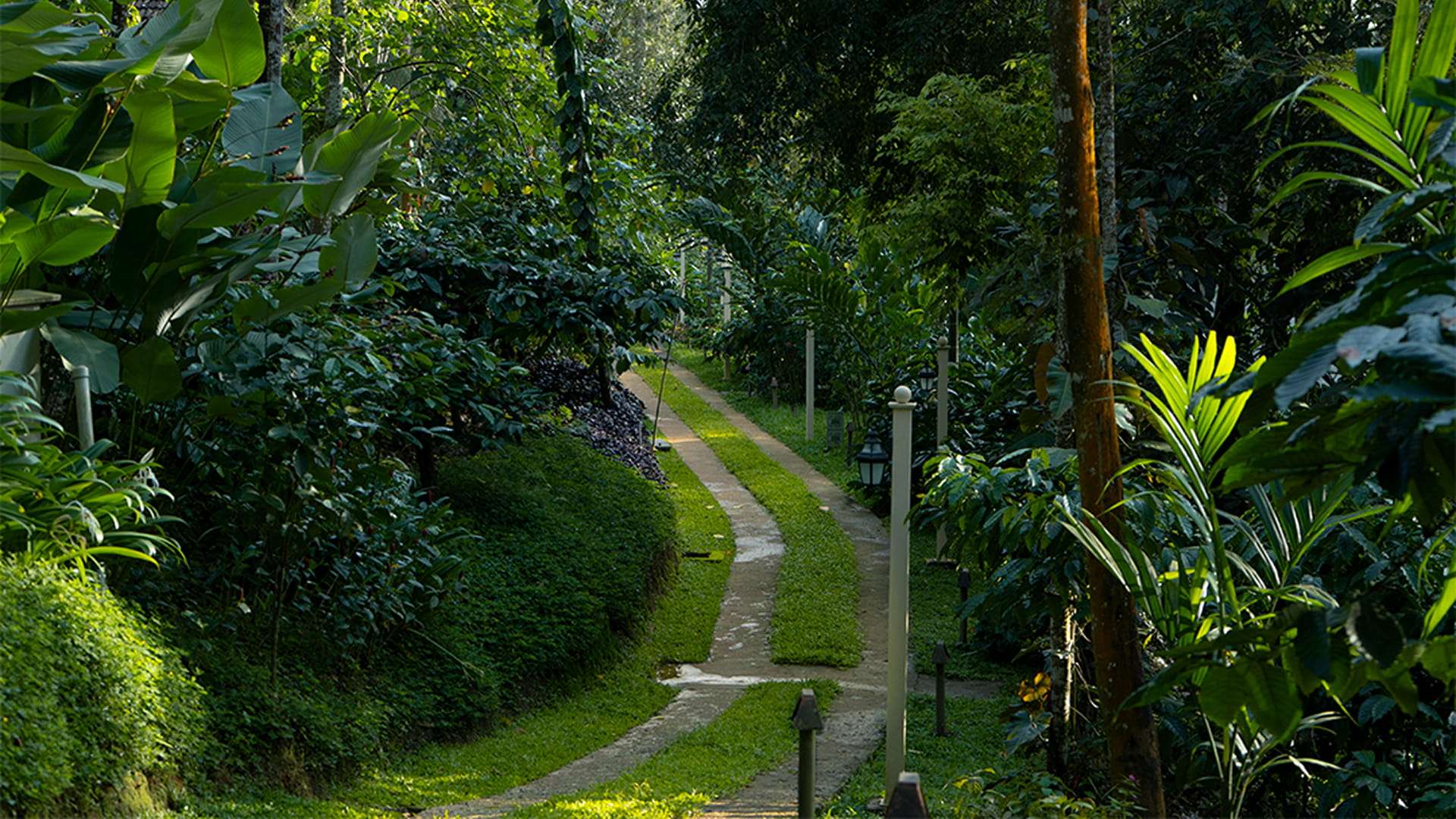 Willow Resorts Banner