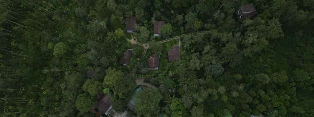 What Is Special in October in Wayanad? Weather Guide and Best Luxury Resorts in Wayanad