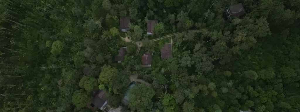 What Is Special in October in Wayanad? Weather Guide and Best Luxury Resorts in Wayanad