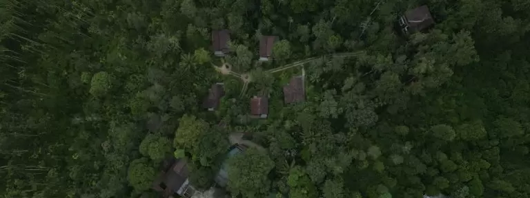 What Is Special in October in Wayanad? Weather Guide and Best Luxury Resorts in Wayanad