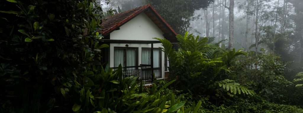 Escape to Serenity: Why Willow is Among the Top Resorts in Wayanad