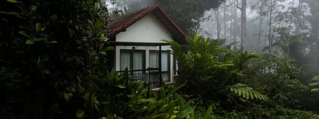 Escape to Serenity: Why Willow is Among the Top Resorts in Wayanad