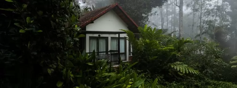 Escape to Serenity: Why Willow is Among the Top Resorts in Wayanad