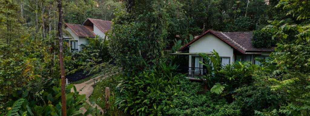 A Place to Breathe and Unwind: Why Willow Resorts is Among the Best Luxury Resorts in Wayanad