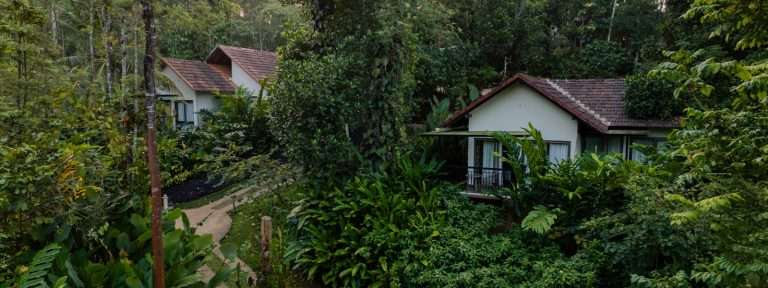 A Place to Breathe and Unwind: Why Willow Resorts is Among the Best Luxury Resorts in Wayanad