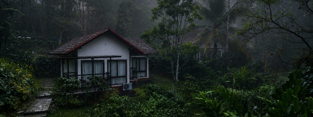 Best Resorts in Wayanad for a Refreshing Monsoon Escape