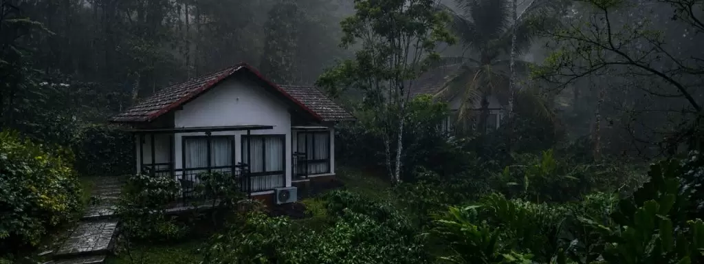 Best Resorts in Wayanad for a Refreshing Monsoon Escape