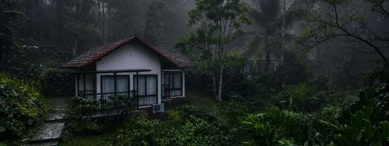 Best Resorts in Wayanad for a Refreshing Monsoon Escape