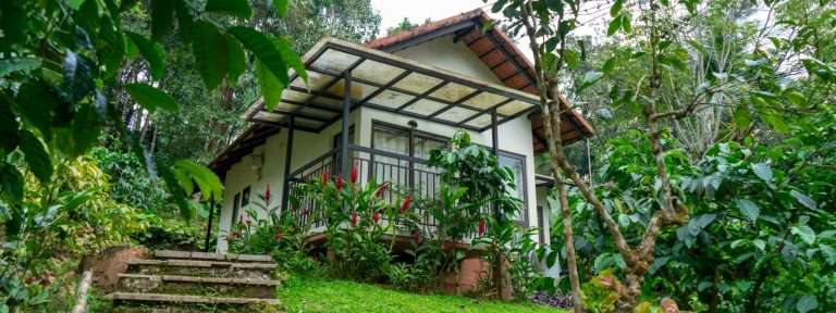 Finding Serenity: Why Monsoon is the Best Time to Visit Wayanad’s Hidden Gem