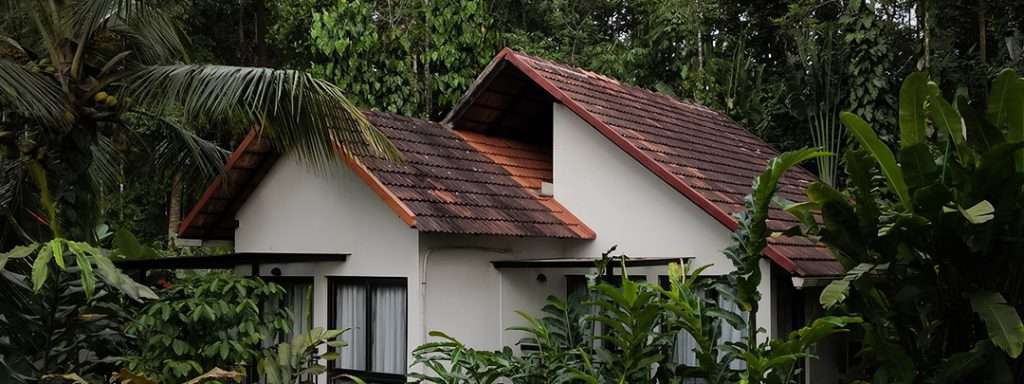 Best Resorts in Wayanad: Experience Nature, Comfort & Luxury at Willow Resorts