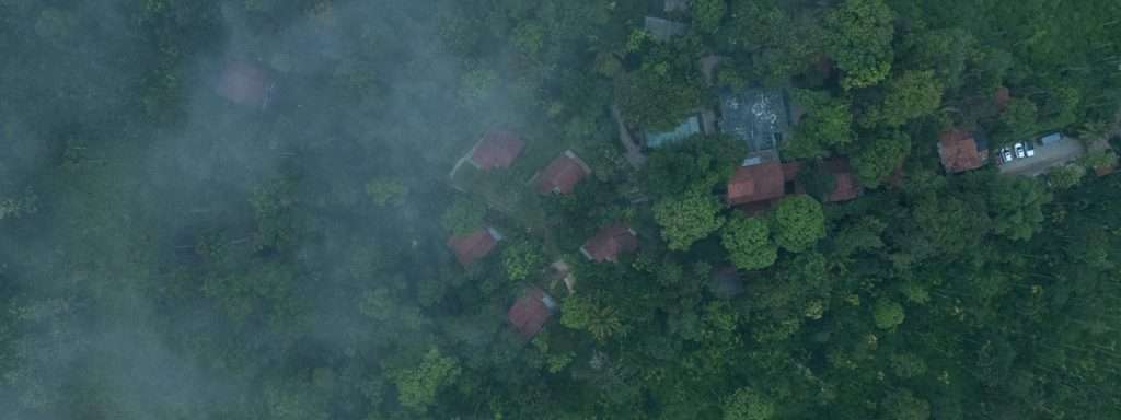 Top Resorts in Wayanad: Why Willow Should Top Your List