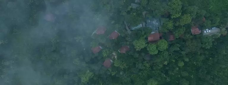 Top Resorts in Wayanad: Why Willow Should Top Your List